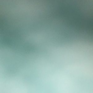 Meet your Posher, Brookltn